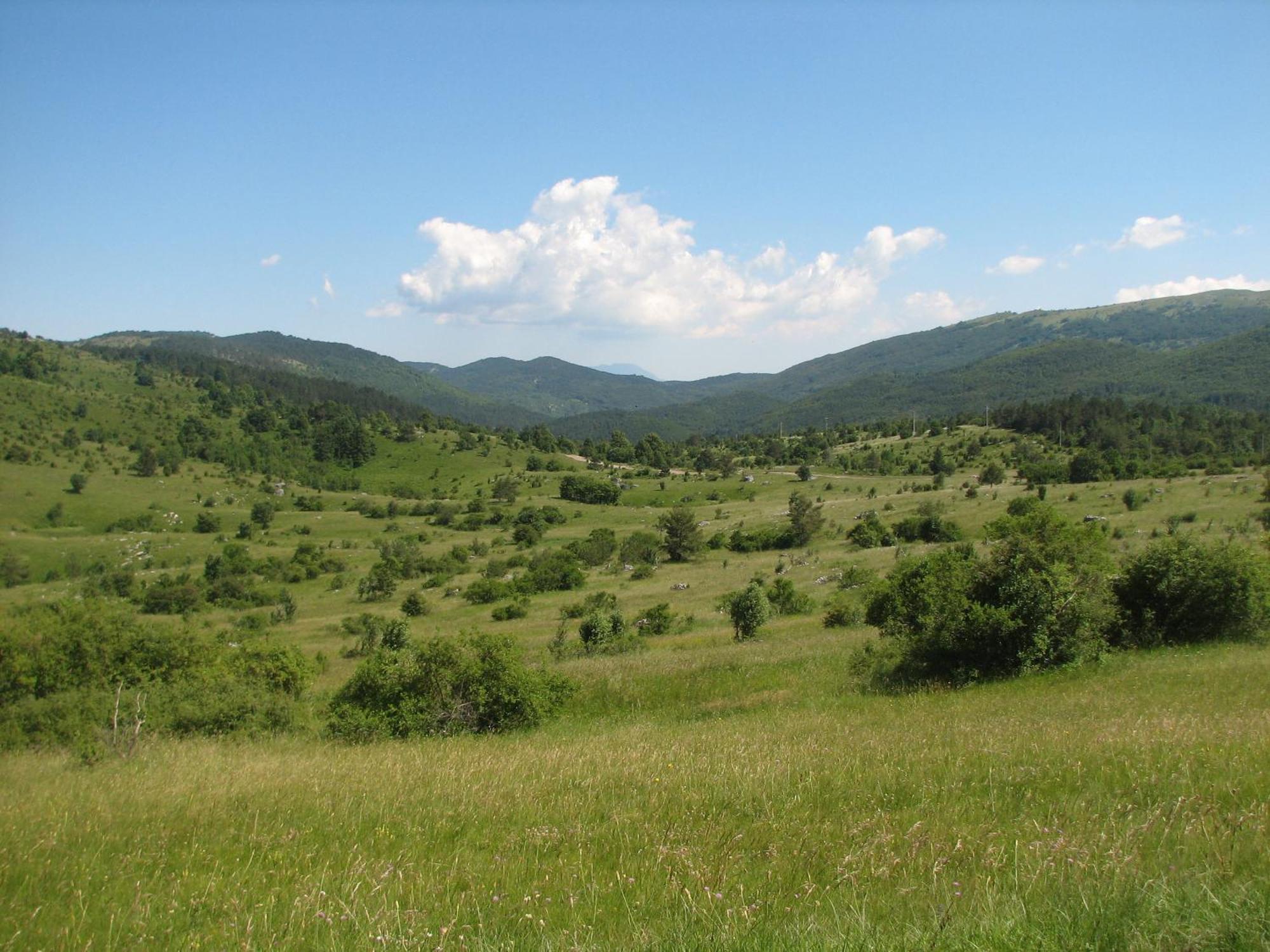 Guest House Pod Slavnikom Podgorje  Экстерьер фото
